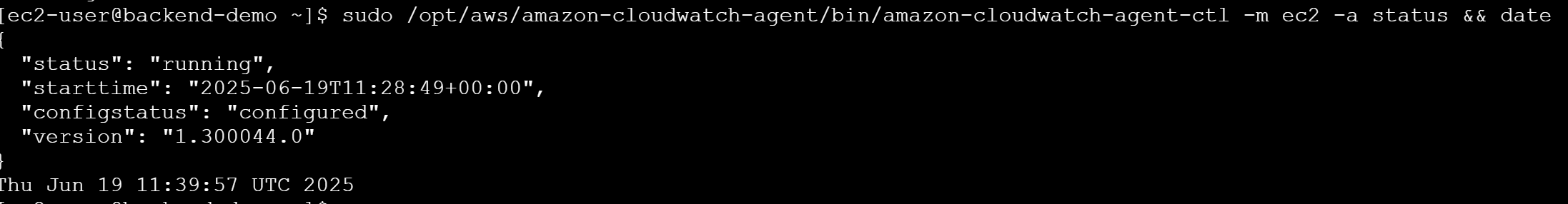 status cloud watch agent