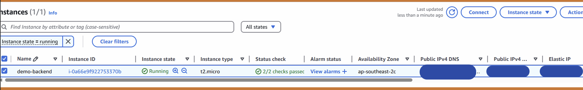 Elastic IP setup showing instance details with elastic ip