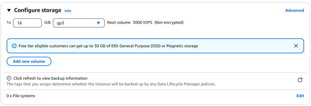 Storage configuration showing 16GB gp3 storage