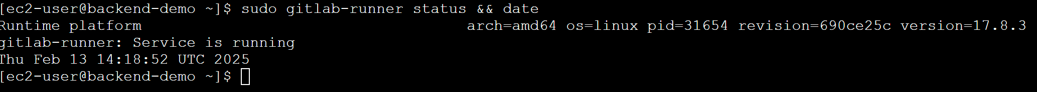 GitLab Runner status check