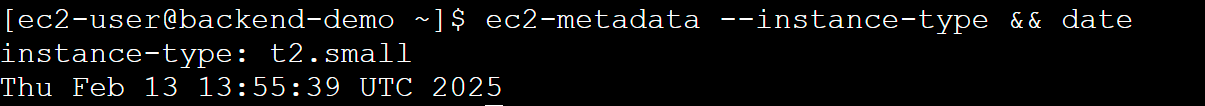 Instance type upgrade showing successful installation
